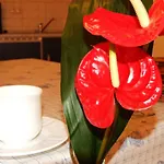 Am Seeufer 11